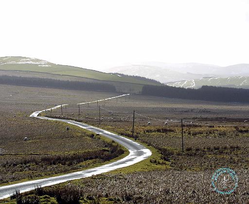 Scottish Borders 8P74D-10.JPG